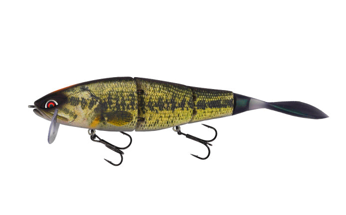 Galápagos Grace 210L Japanfish