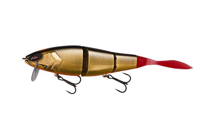 Galápagos Grace 210L Japanfish