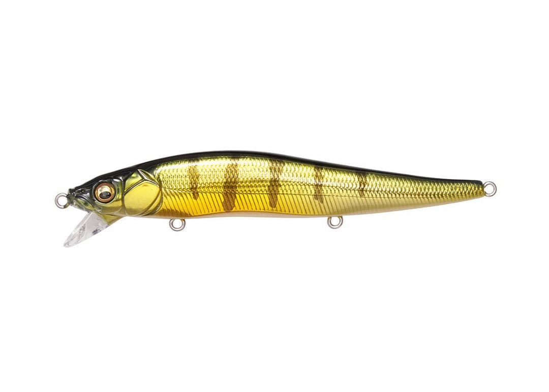 Megabass Vision Oneten SR GG Perche - JapanFish