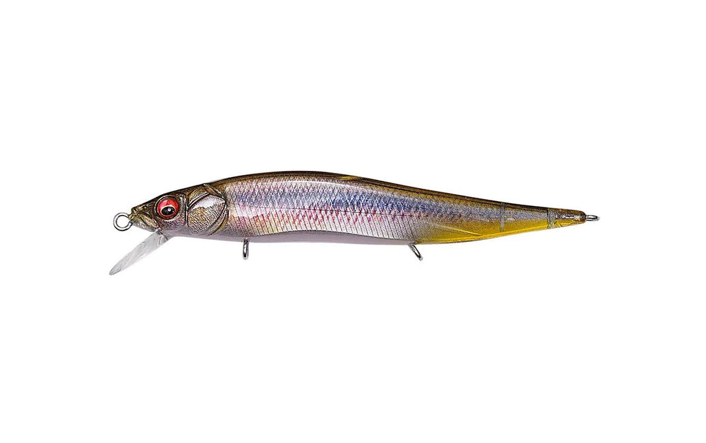 Megabass Vision Jr Japanfish