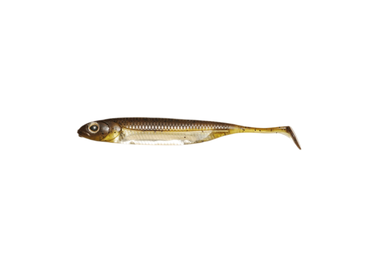 Fish Arrow Flash-J Shad Japanfish