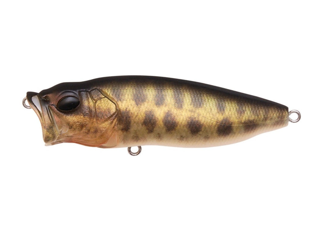 Megabass POPMAX FA Raygo - JapanFish