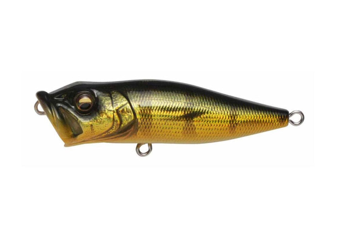Megabass POPX Peacok - JapanFish
