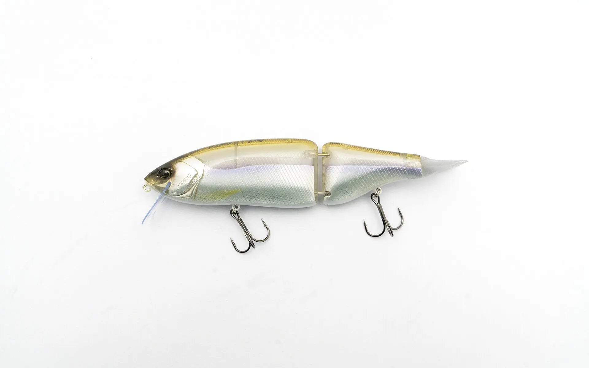 DRT Klash 9 Biwasagi - JapanFish