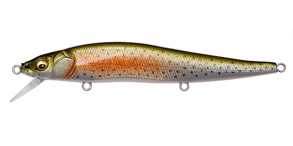 Megabass Vision Oneten Japanfish
