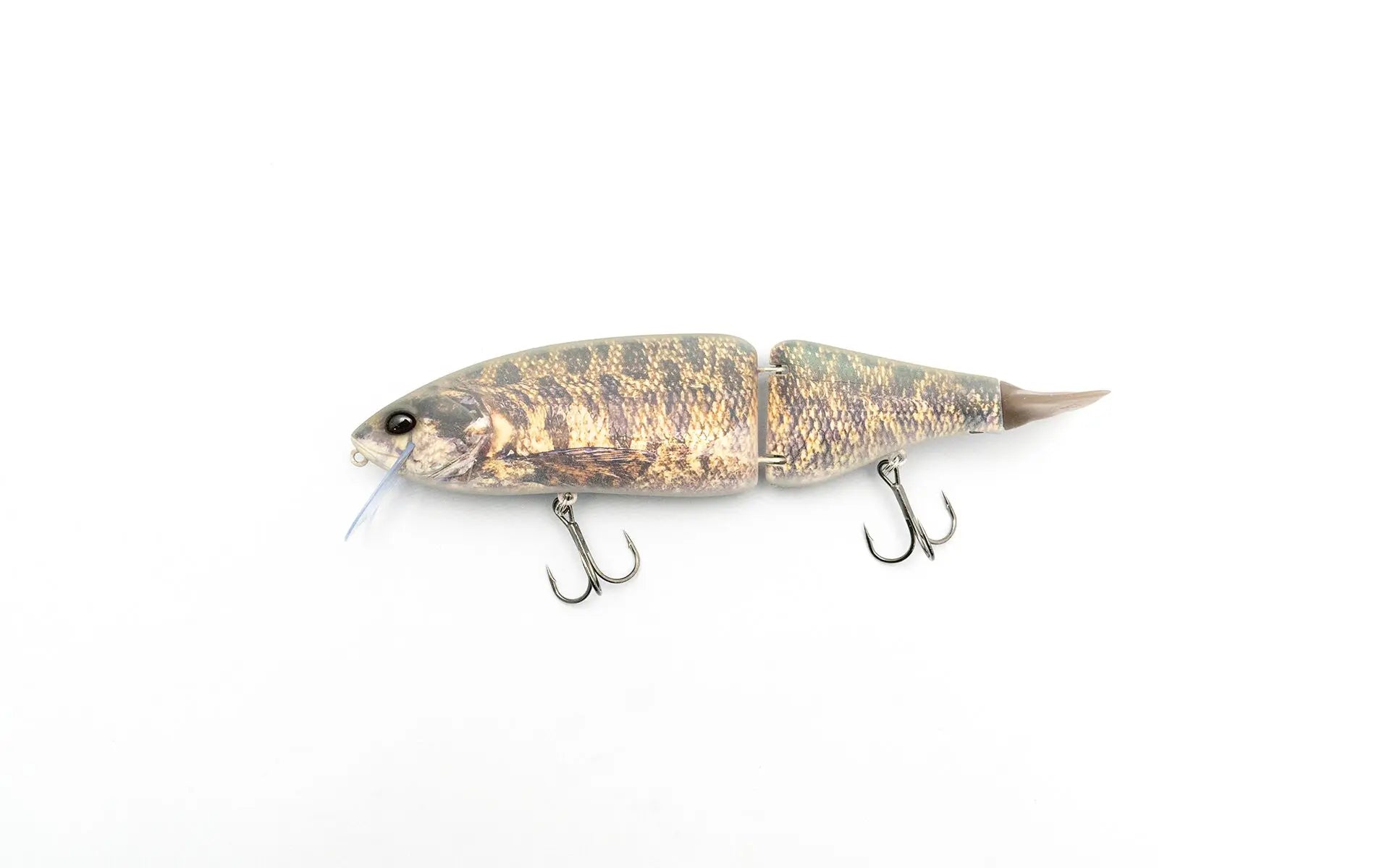 DRT Klash 9 DRT Tiger - Japanfish