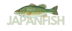 JapanFish logo off2