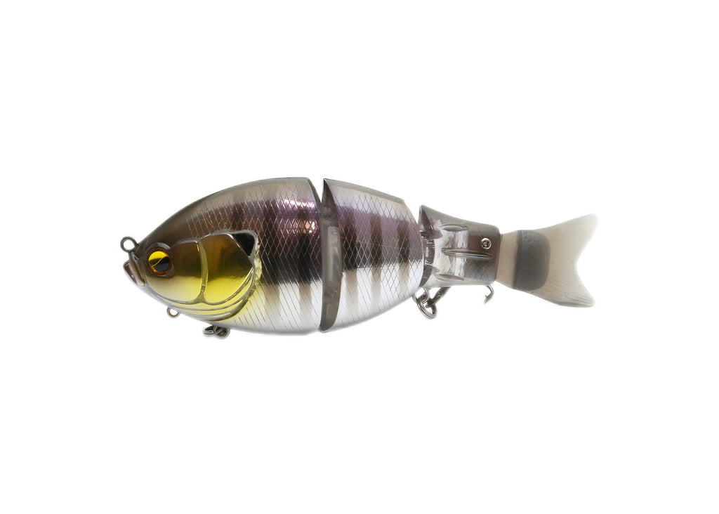 Raid Japan G-Dash Japanfish