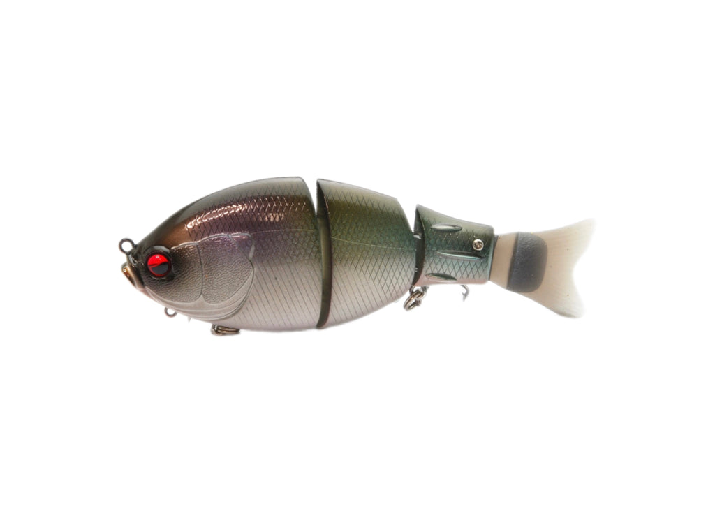 Raid Japan G-Dash Japanfish