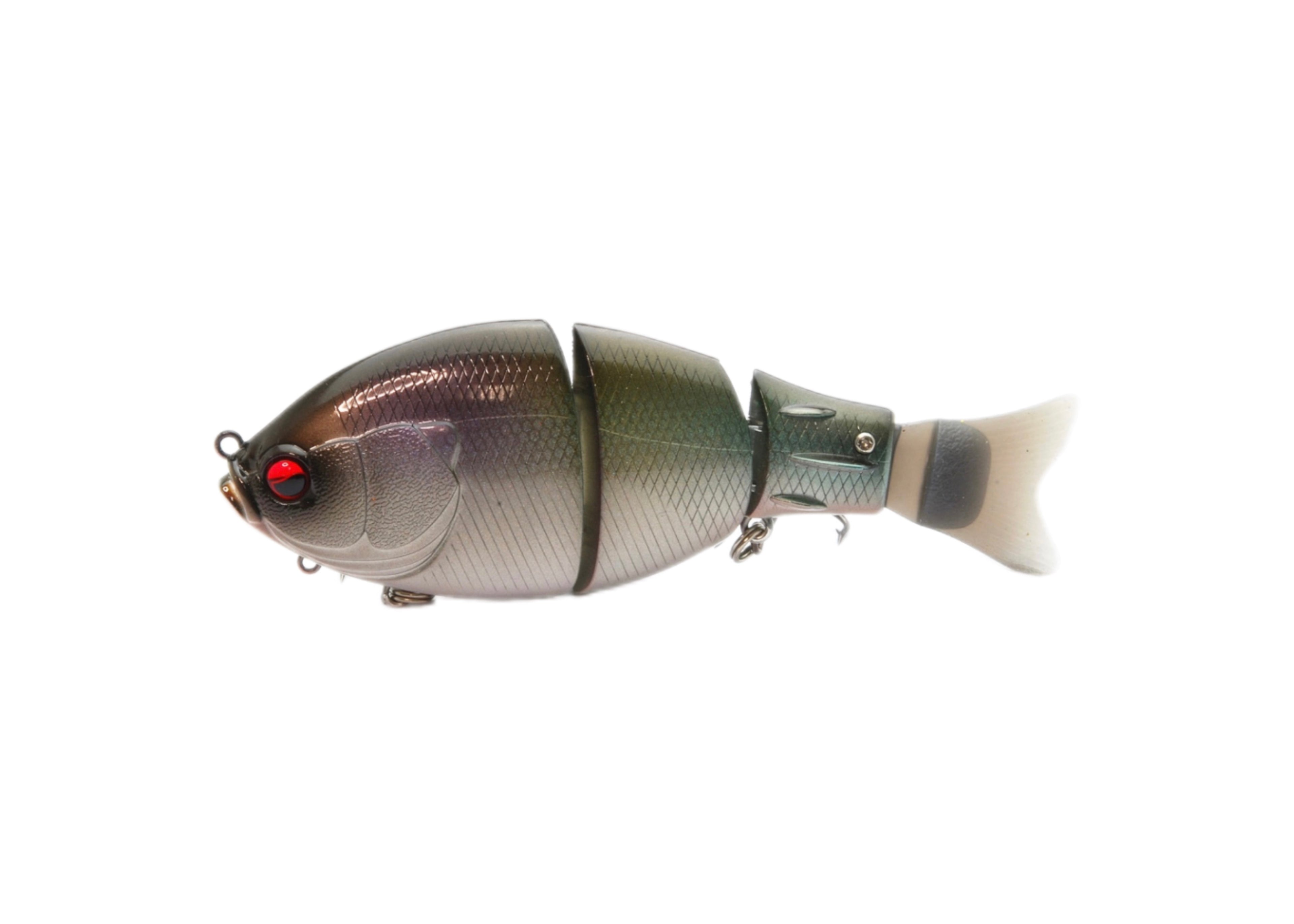Raid Japan G-Dash Japanfish