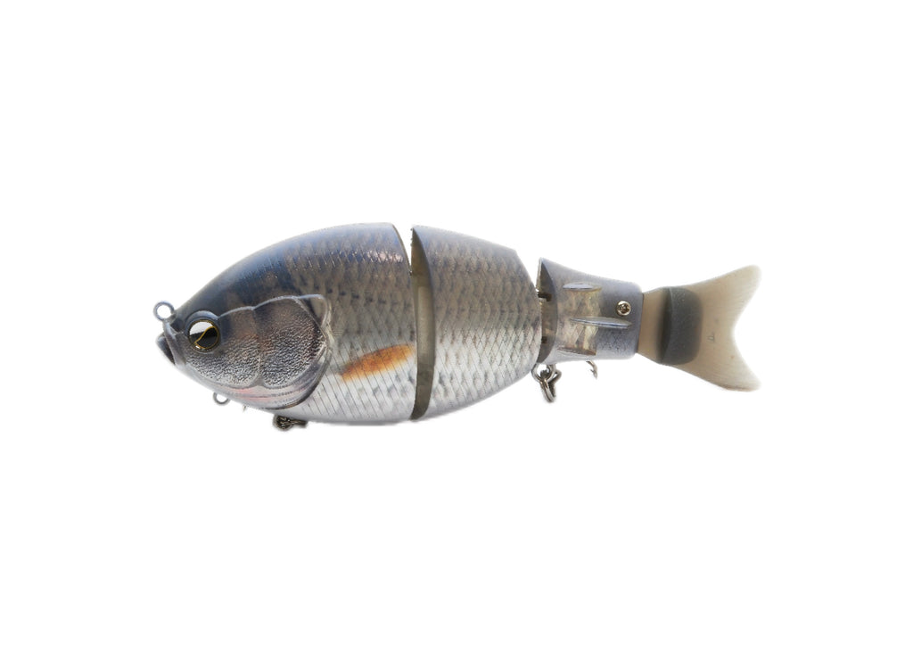 Raid Japan G-Dash Japanfish