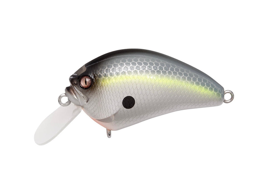 Megabass IxI Blowly PM Sexy Shad Japanfish