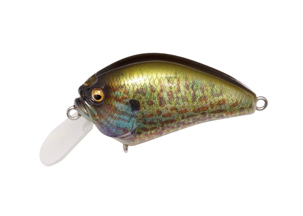 Megabass IxI Blowly Pumpkin Seed Japanfish
