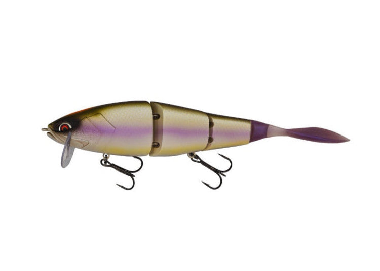 Galápagos Grace 210L Japanfish