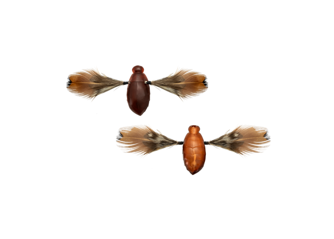 Jackall Need Cicada Lake Nojiri Spring Cicada - Japanfish
