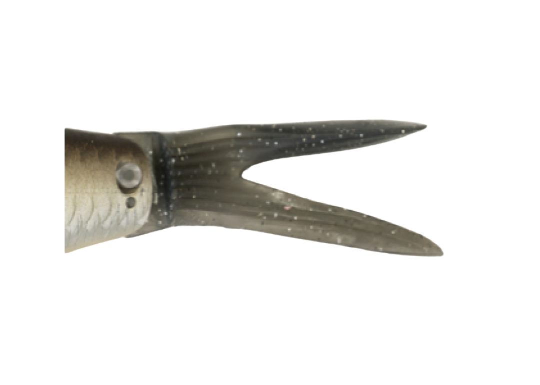 Kaesu Ohira Spare Tail Kaesu