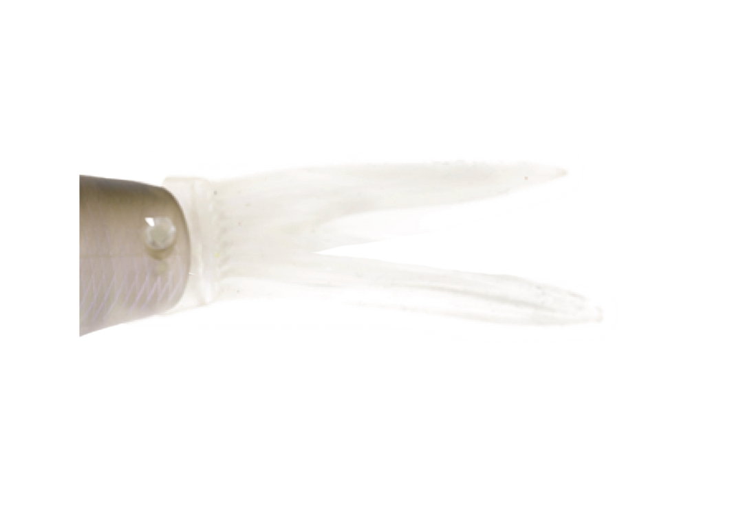 Kaesu Ohira Spare Tail Kaesu