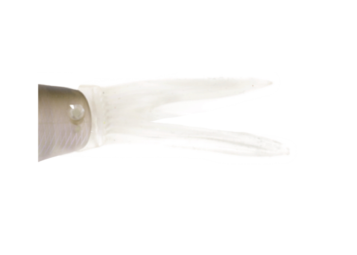 Kaesu Ohira Spare Tail Kaesu