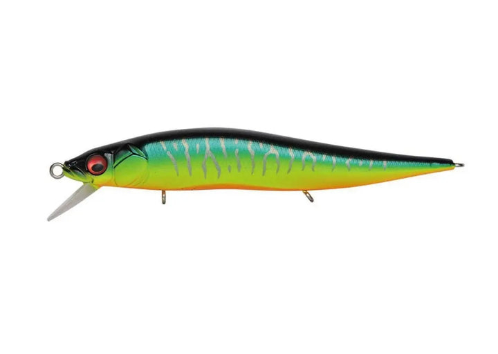 Megabass Vision Jr Mat tiger - JapanFish
