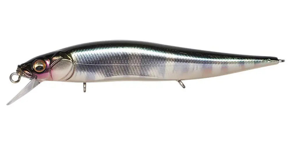 Megabass Vision Jr Wagin Hasu - JapanFish