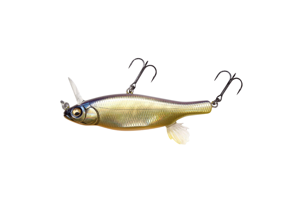 Megabass Anthrax SH Campagne Kinkuro - Japanfish