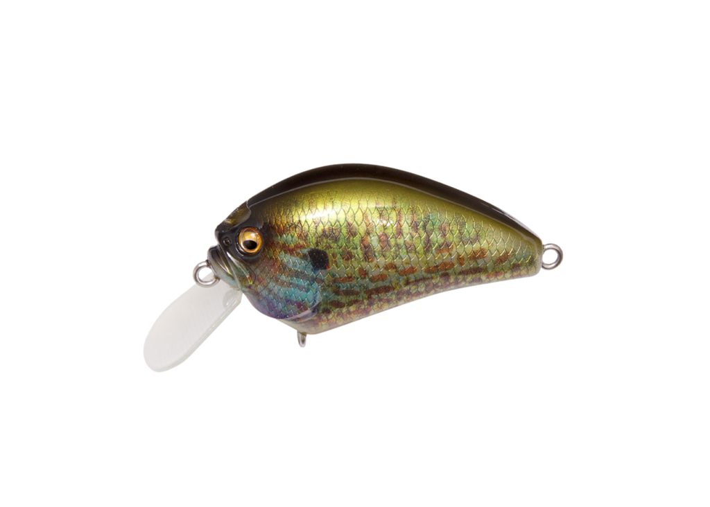 Megabass IxI Blowly Pumpkin Seed - Megabass