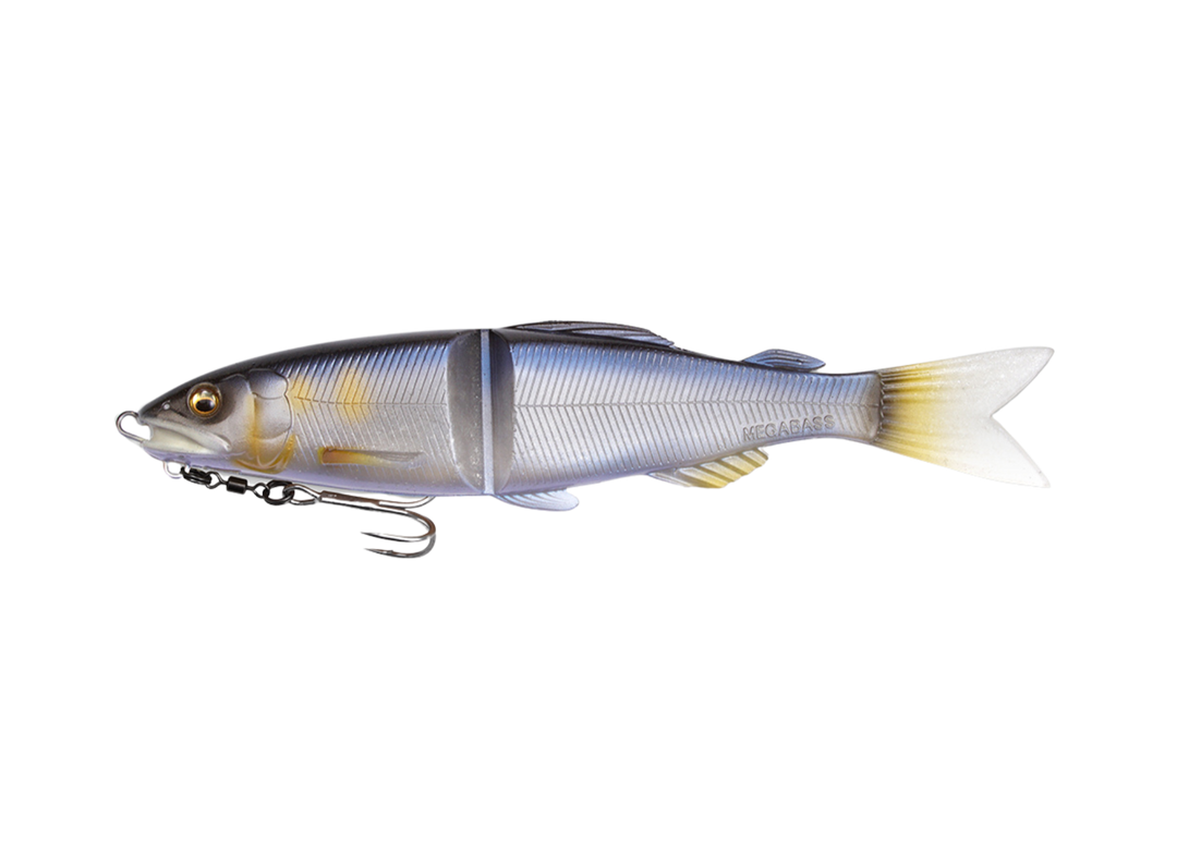 Megabass Magdraft Ayu Twitcher (S) Hayase Ayu - Megabass