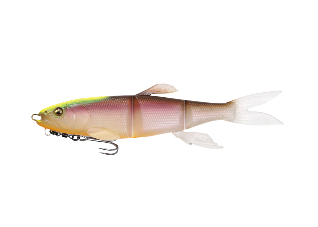 Megabass Magdraft Hasu Raver (S) Ghost Chart Back - Megabass