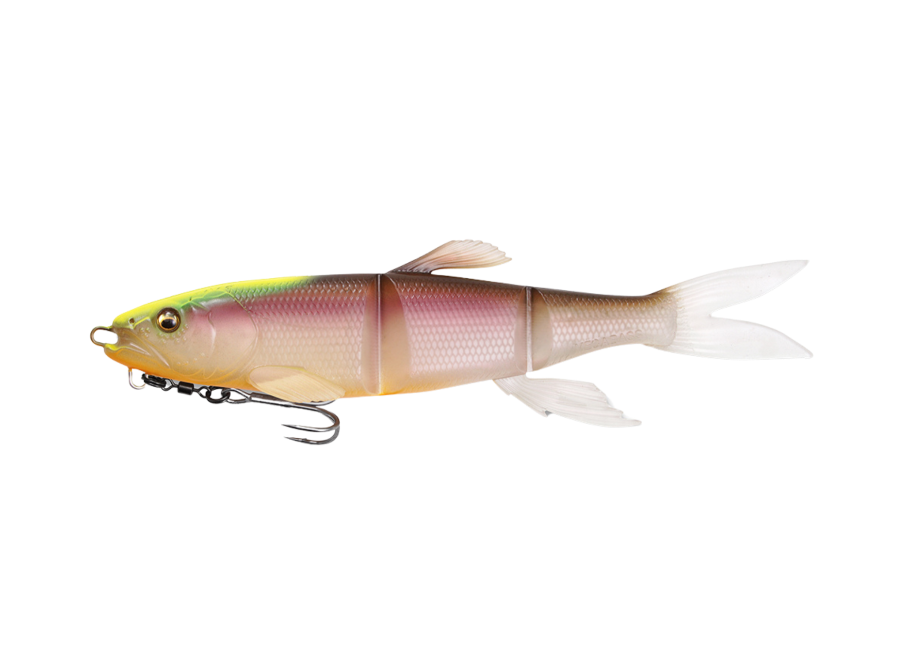Megabass Magdraft Hasu Raver (S) Ghost Chart Back - Megabass