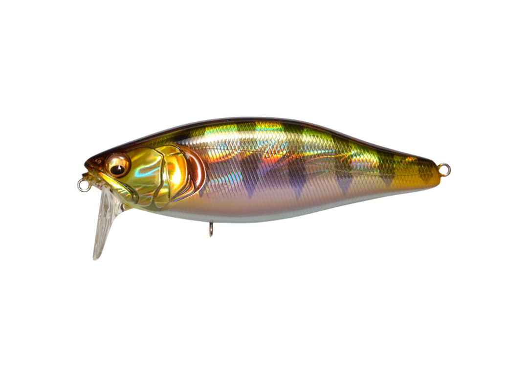 Megabass i-Jack Megabass