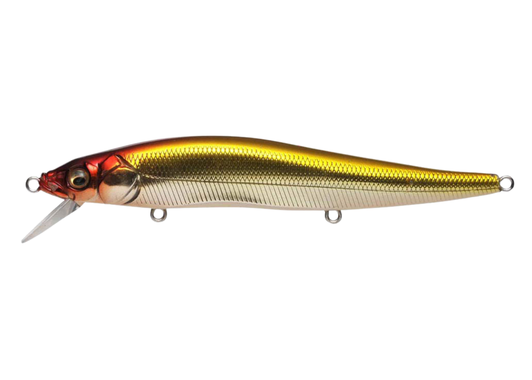 Megabass Vision Oneten Megabass