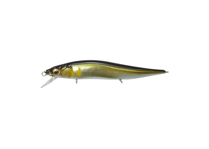 Megabass Vision Jr Megabass