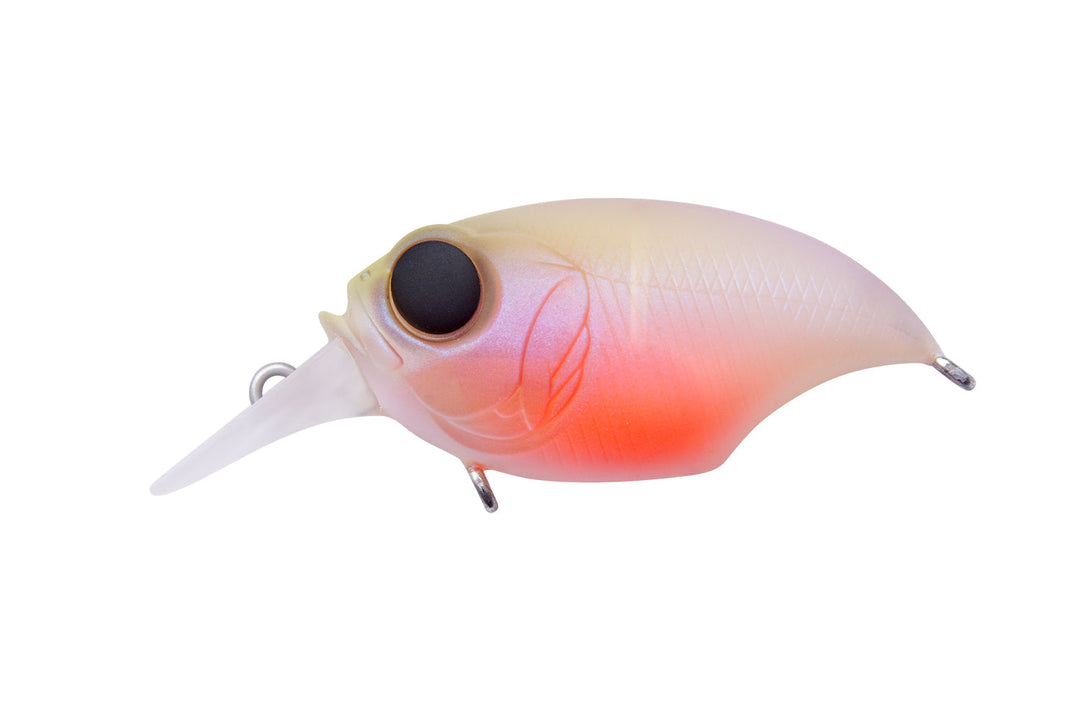 Megabass SR-X Griffon Baby Kingyo Japanfish