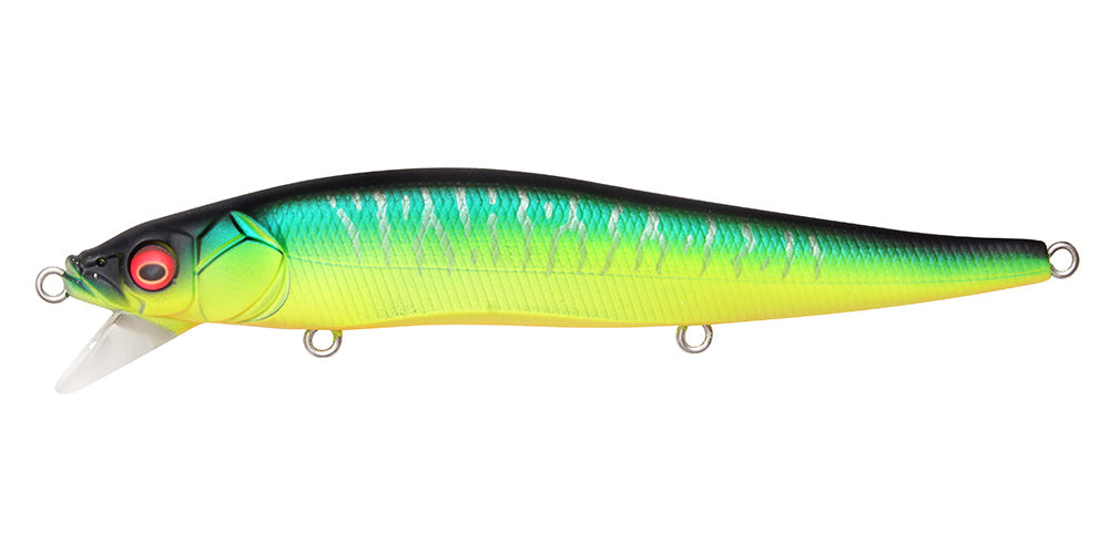 Megabass Vision Oneten SR Mat Tiger