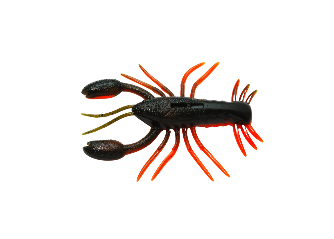 Raid Japan Zariganist Orange Punch - Japanfish