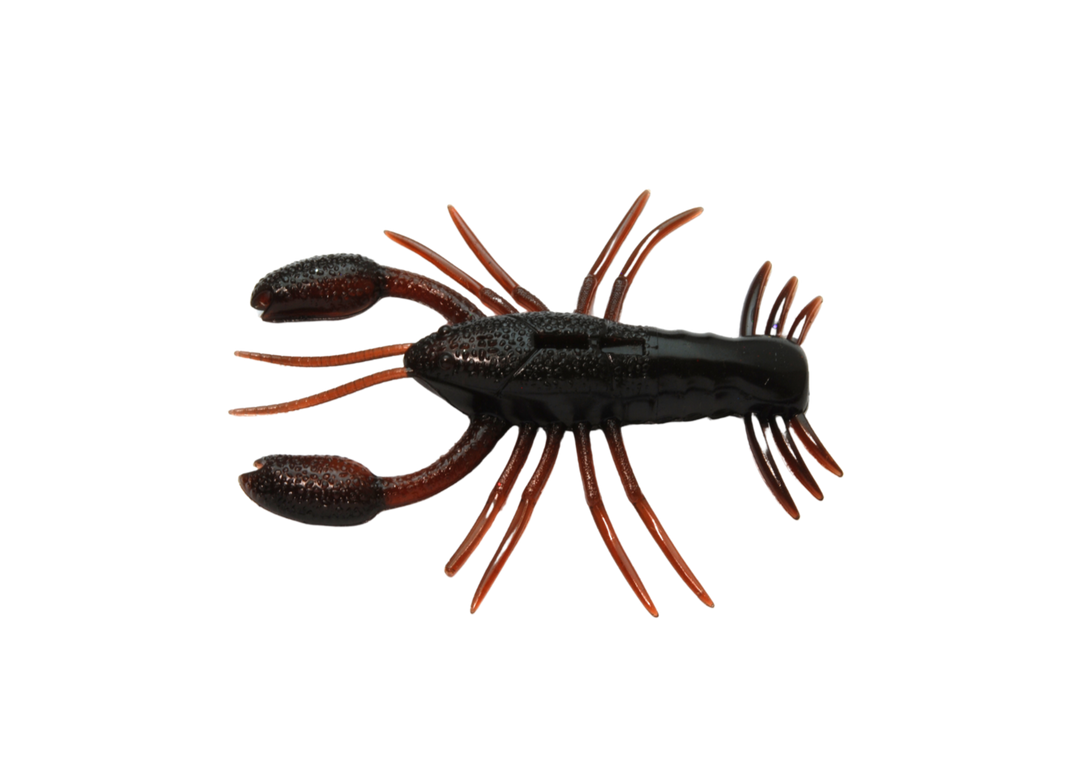 Raid Japan Zariganist Scuppernong -  Japanfish