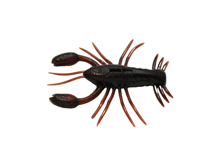 Raid Japan Zariganist Scuppernong -  Japanfish