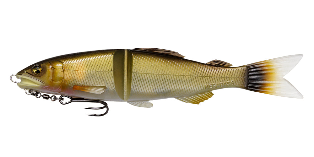 Megabass Magdraft Ayu Twitcher Tenryu Ayu - JapanFish