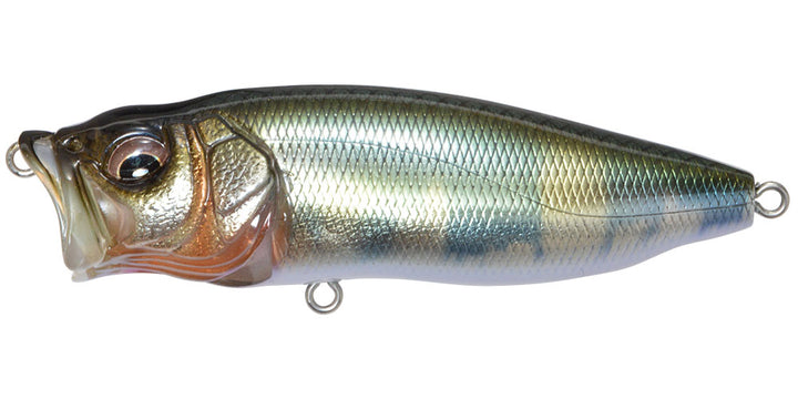 Megabass POPMAX Takumi Hasu - JapanFish