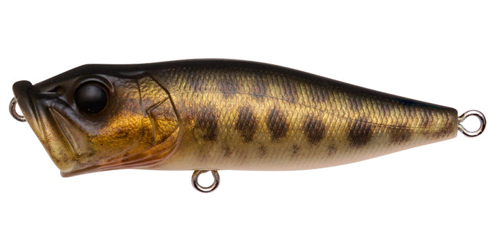 Megabass POPX FA Raygo - JapanFish