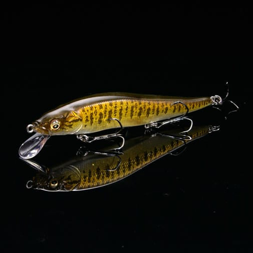 Megabass Vision Jr Megabass