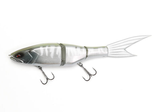 Galápagos Grace 240F Girahas - Japanfish