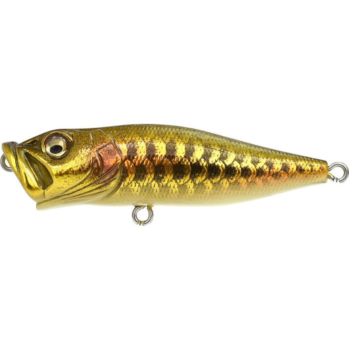 Megabass Popx Dragon Fish G (SP-C) Japanfish