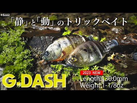 Raid Japan G-Dash