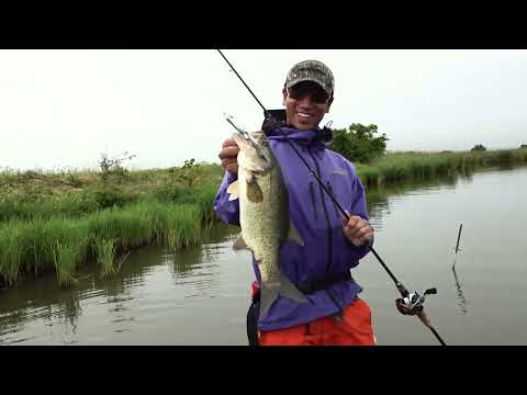 Megabass Anthrax
