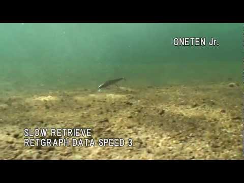 Megabass Vision Jr
