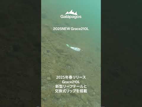 Galápagos Grace 210L