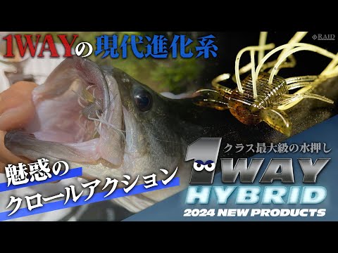 Raid Japan 1WAY Hybrid