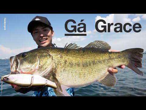 Galápagos Grace 240F
