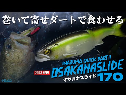 RAID JAPAN OSAKANA SLIDE 170